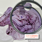 La lumière comme Matière, l'exposition de Meaghan Matthews au Centre Tignous - IMG 9596 2