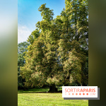 Le désert de Retz, le parc anglo-chinois insolite dans les Yvelines -  A7C2134