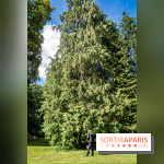 Le désert de Retz, le parc anglo-chinois insolite dans les Yvelines -  A7C2135