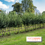 Le désert de Retz, le parc anglo-chinois insolite dans les Yvelines -  A7C2167