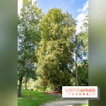 Le désert de Retz, le parc anglo-chinois insolite dans les Yvelines -  A7C2186