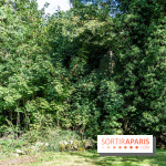 Le désert de Retz, le parc anglo-chinois insolite dans les Yvelines