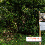 Le désert de Retz, le parc anglo-chinois insolite dans les Yvelines -  A7C2191