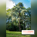 Le désert de Retz, le parc anglo-chinois insolite dans les Yvelines