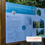 Le désert de Retz, le parc anglo-chinois insolite dans les Yvelines -  A7C2196