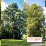 Le désert de Retz, le parc anglo-chinois insolite dans les Yvelines - 84ED8EA6 BBEF 4259 B500 E9CDDD3358B5