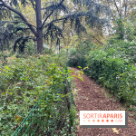 Square Sainte-Odile - nos photos - image00016