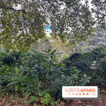 Square Sainte-Odile - nos photos - image00001