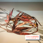 Les fleurs d'Yves Saint Laurent : l'exposition se dévoile en images au musée YSL - IMG20240919102948