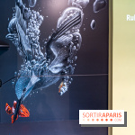 Les cabines de 70 artistes street-art à Molitor, 2e édition internationale - photos -  A7C2819