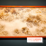 Bruno Liljefors, la Suède sauvage : l'exposition poétique se dévoile en images au Petit Palais - IMG20240930102024