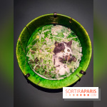 Bruno Liljefors, la Suède sauvage : l'exposition poétique se dévoile en images au Petit Palais - IMG20240930100030