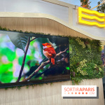 Pop up Equateur