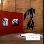 Exposition « Révélation ! Art contemporain du Bénin » à la Conciergerie  -  A7C3259
