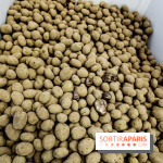 Arte Povera, l'exposition à la Bourse de Commerce, nos photos - IMG 6346