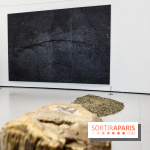 Arte Povera, l'exposition à la Bourse de Commerce, nos photos - IMG 6347