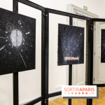 Ylva Snöfrid, exposition Cosmos et Vanitas à l'Institut suédois, nos photos