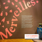 Merveilles - Sèvres - IMG 5095