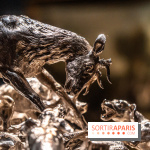 Les photos de l'exposition Oudry, peinte de courre au Château de Fontainebleau