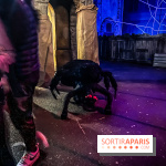 Halloween au Parc Astérix 2024 : Peur sur le Parc et ses nocturnes - IMG 3819