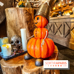 Halloween au Parc Astérix 2024 : Peur sur le Parc et ses nocturnes - IMG 3928