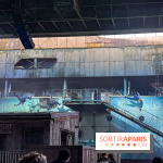 Halloween au Parc Astérix 2024 : Peur sur le Parc et ses nocturnes - IMG 3985