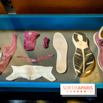 Empreinte carbone : l'exposition pour comprendre l'écologie au musée des Arts et Métiers - photos - IMG20241014104928