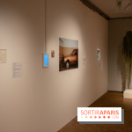 Exposition Soft Skills de Mohamad Abdouni à Lafayette Anticipations