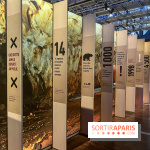 La Grotte Chauvet à la Cité des Sciences, nos photos  - image00017