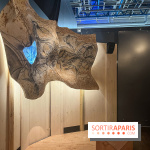 La Grotte Chauvet à la Cité des Sciences, nos photos  - image00007