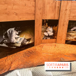 La Grotte Chauvet à la Cité des Sciences, nos photos  - image00003