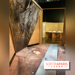 La Grotte Chauvet à la Cité des Sciences, nos photos  - image00001