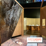 La Grotte Chauvet à la Cité des Sciences, nos photos  - image00002