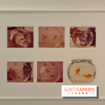 Exposition Pop Forever