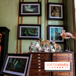 Benjamin Lacombe, nos photos de son exposition chez Deyrolle à Paris - IMG 6509