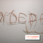 Exposition Praesentia de Myriam Mihindou au Palais de Tokyo - DSC 1614