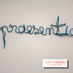 Exposition Praesentia de Myriam Mihindou au Palais de Tokyo - DSC 1619