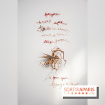 Exposition Praesentia de Myriam Mihindou au Palais de Tokyo - DSC 1620