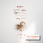 Exposition Praesentia de Myriam Mihindou au Palais de Tokyo - DSC 1621