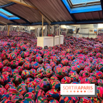 Fondation Cherqui - nos photos - image00004