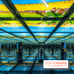 Exposition Astérix à l'Atelier des Lumières, le voyage immersif