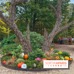 Les Esprits de la Forêt - IMG 5591