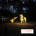 Les Esprits de la Forêt - IMG 5641