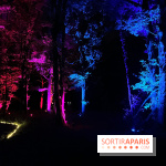Les Esprits de la Forêt
