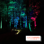 Les Esprits de la Forêt