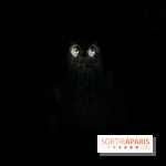 Les Esprits de la Forêt - IMG 5668