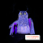 Les Esprits de la Forêt - IMG 5671