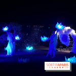 Les Esprits de la Forêt - IMG 5725