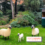 Design Miami.Paris 2024 - image00007