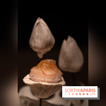 Hakuba, le restaurant japonais du Cheval Blanc Paris - les photos -  A7C4827